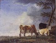 Three Cows in a Pasture POTTER, Paulus
